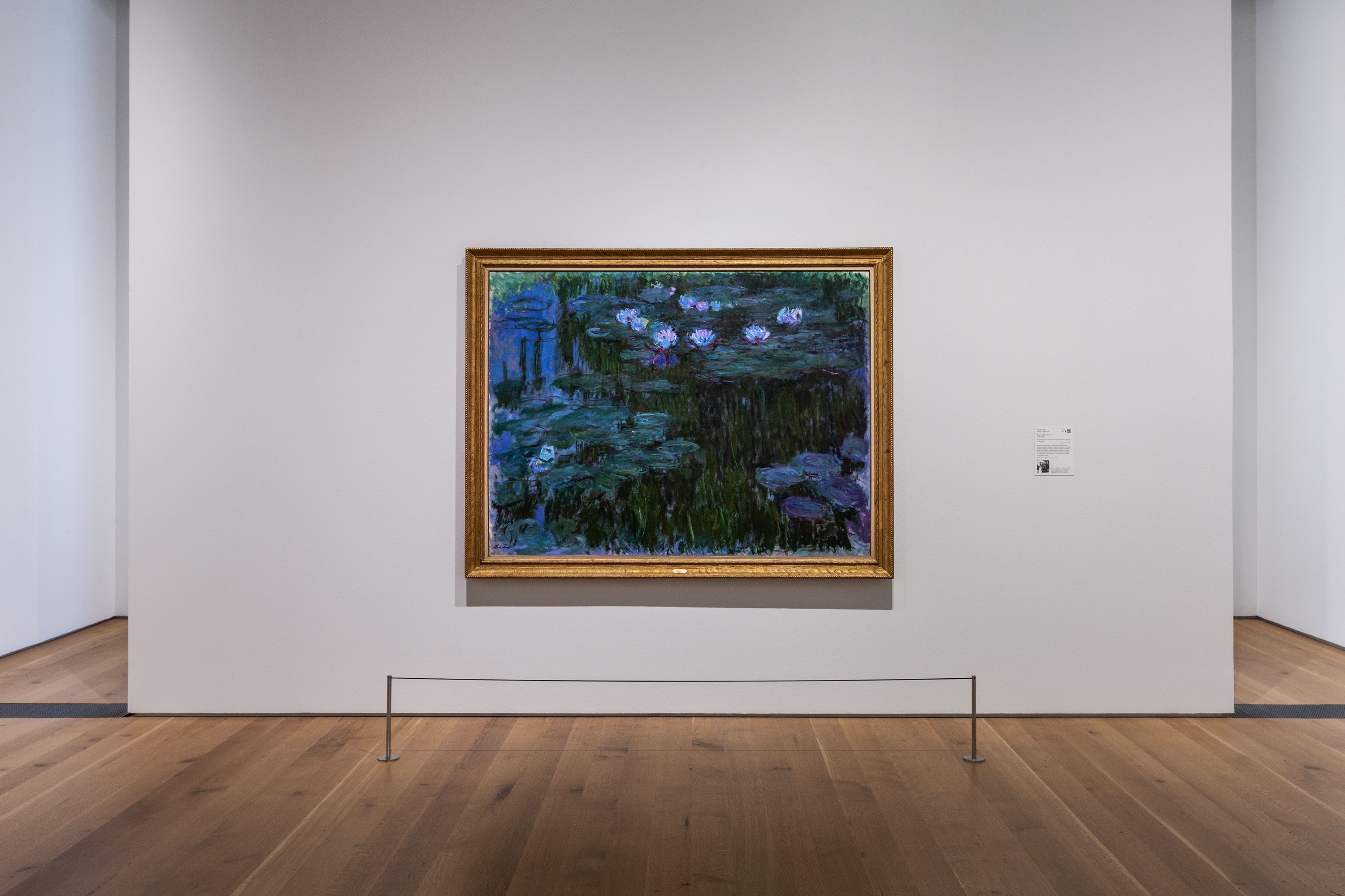 Joan Mitchell reflects Monet's waterlilies in Bois de Boulogne and Barcelo  uses Grisaille in Pantin
