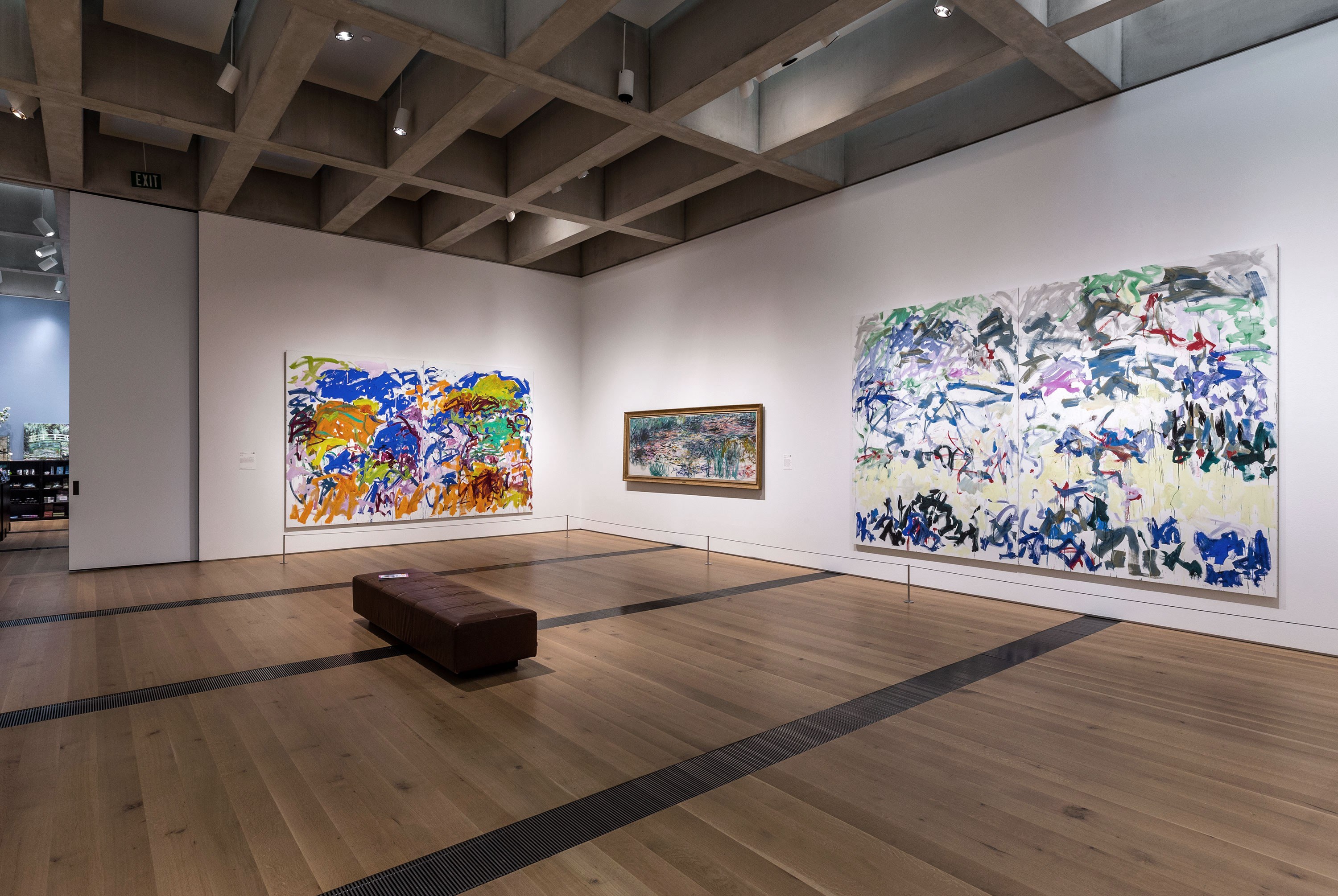 Monet - Mitchell and Joan Mitchell…