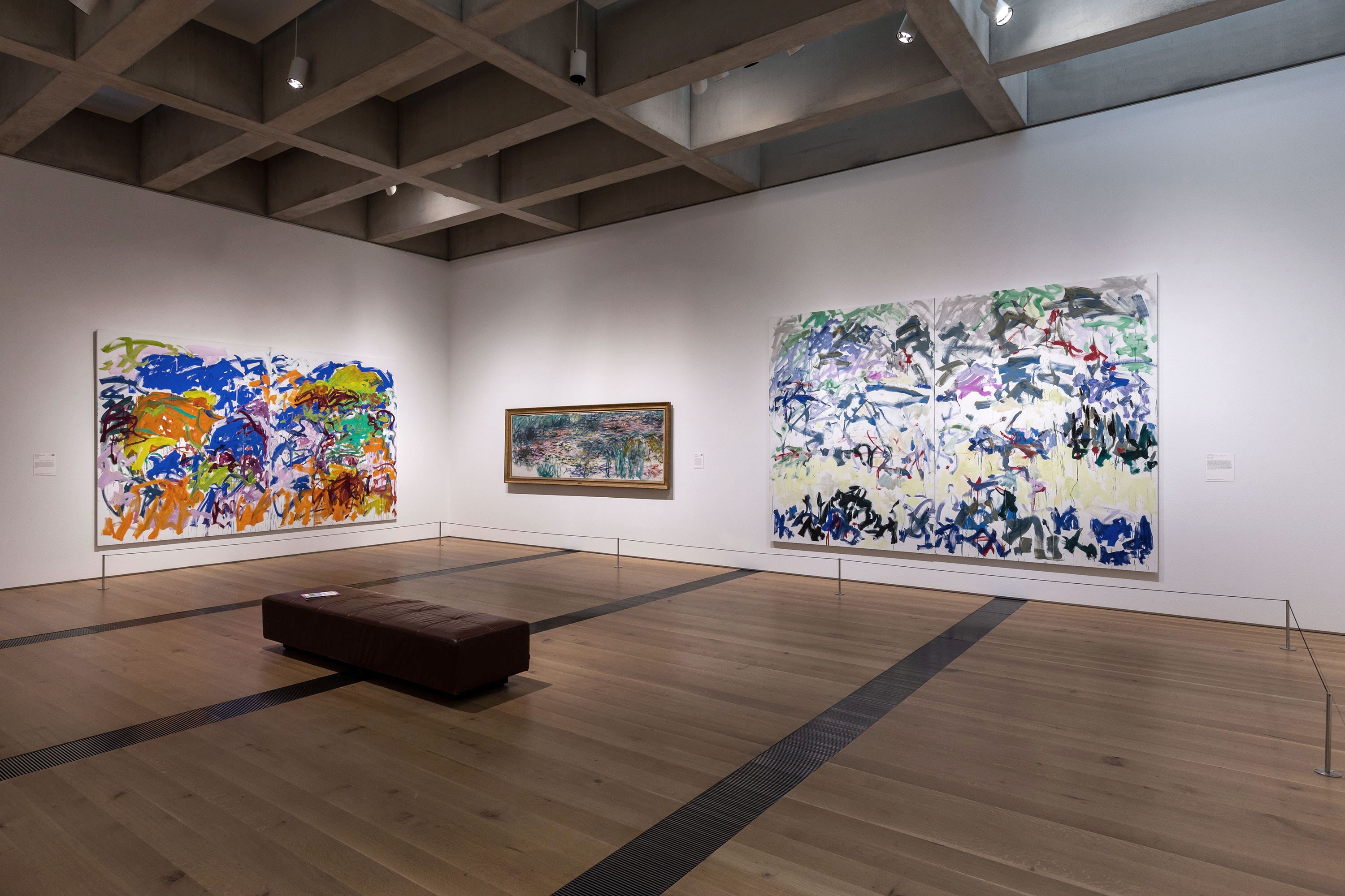 Monet - Mitchell and Joan Mitchell…