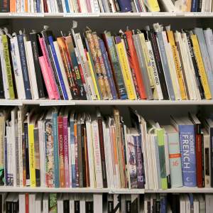 2 rows of art monograph and research books on a bookshelf